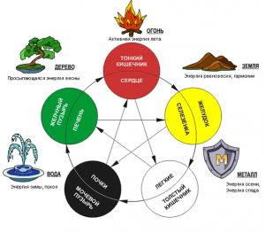 Энергия пяти стихий