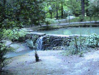 Сочинский дендрарий