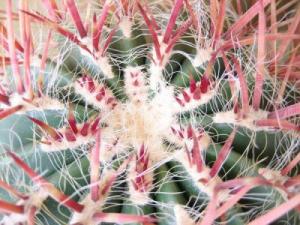 энергия покалывания энергия покалывания