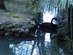 Практика медитации