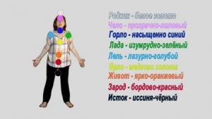 Энергетические центры для работы в упражнении Щиты