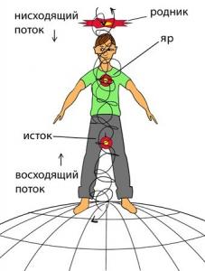 вертикальные энергетические потоки