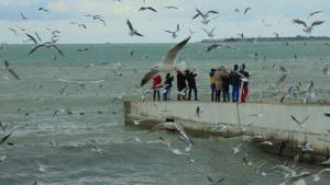 Геленджикский пляж