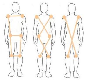 биомеханический каркас человека биомеханический каркас человека