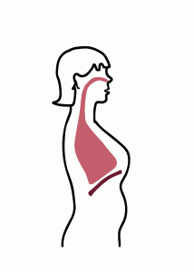 нижнее (брюшное) дыхание