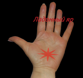 Ладонный яр