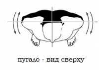 пугало- вид сверху