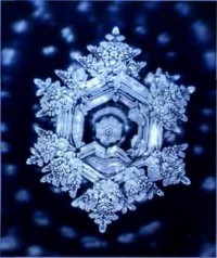 Озерная вода после буддийской молитвы Озерная вода после буддийской молитвы