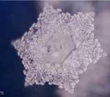 любовь и благодарность на английском любовь и благодарность на английском