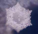 любовь и благодарность на немецком любовь и благодарность на немецком