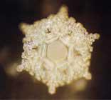 любовь и благодарность на японском любовь и благодарность на японском