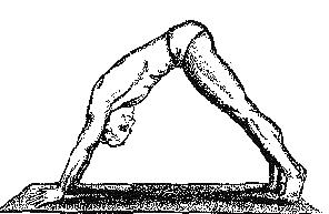 Пятый ритуал- положение 2 Пятый ритуал- положение 2