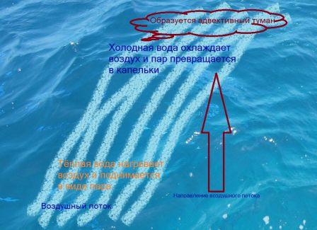 Адвективный туман